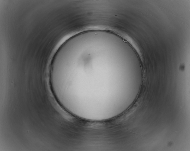 X0000101471187200807071211