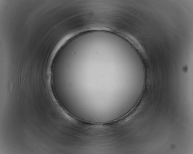 X0000101471188200807071211