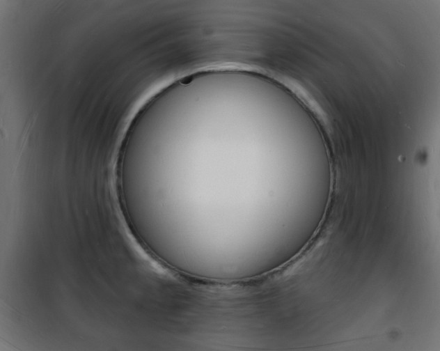 X0000101471189200807071211