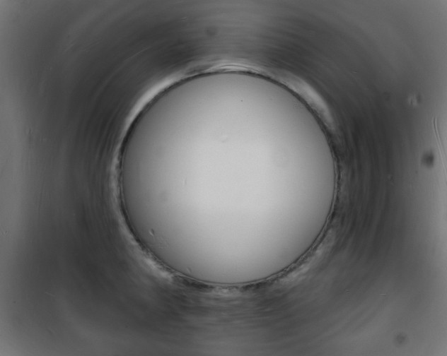 X0000101471190200807071211