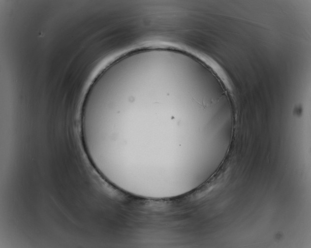 X0000101471191200807071211