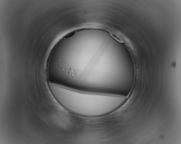 X0000101471192200807071211