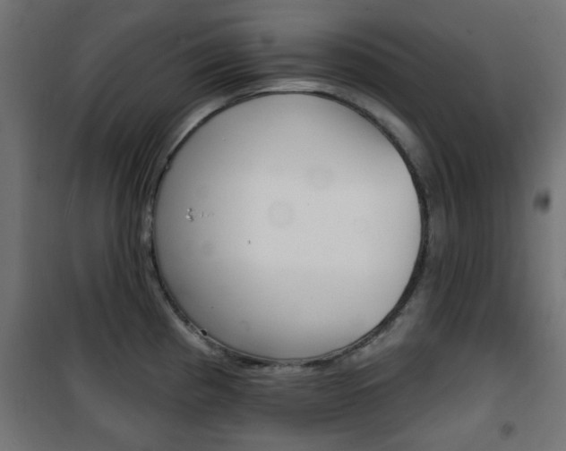X0000101471193200807071211