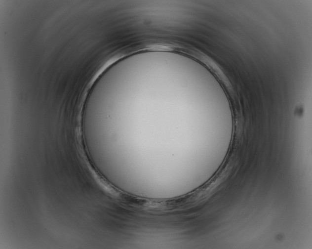 X0000101471194200807071211