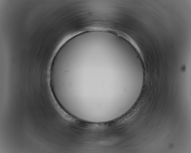 X0000101471195200807071211