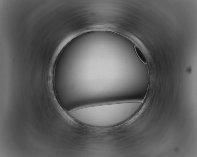 X0000101471196200807071211