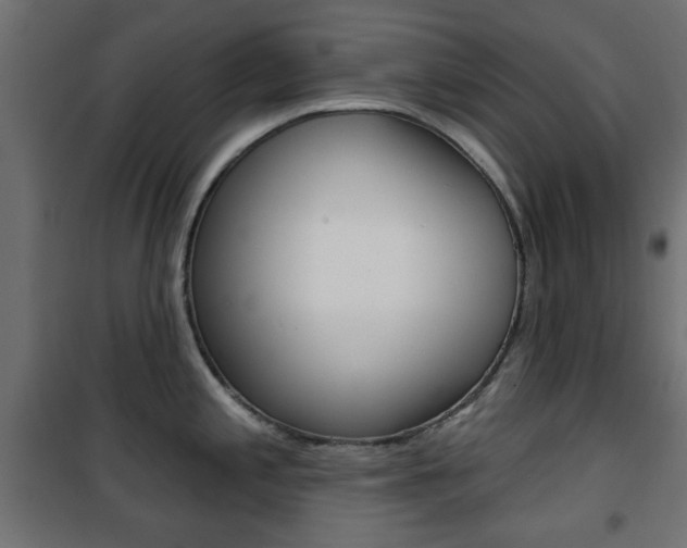 X0000101471197200807071211