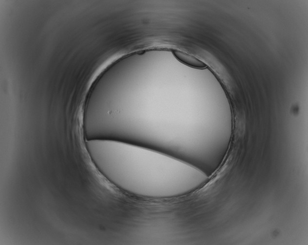 X0000101471198200807071211