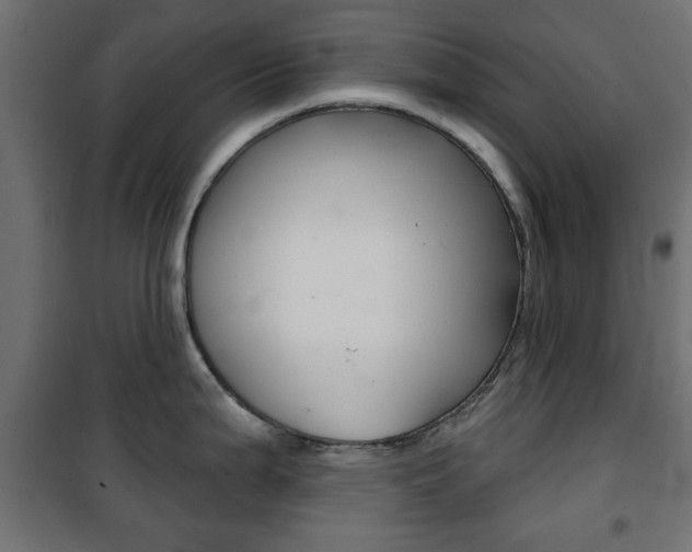 X0000101471199200807071211