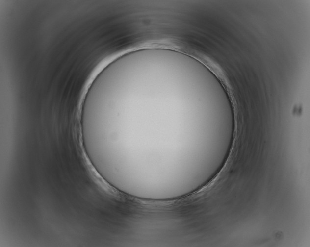 X0000101471200200807071211
