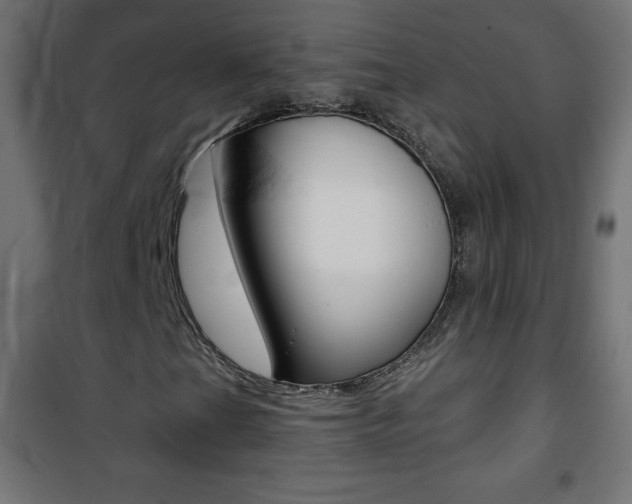 X0000101471201200807071211
