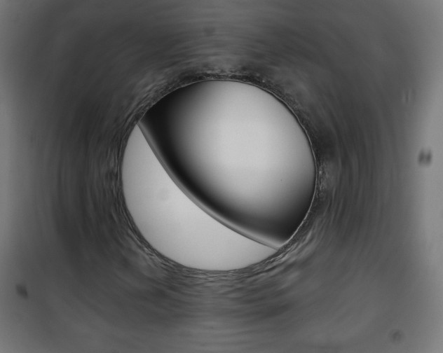 X0000101471202200807071211