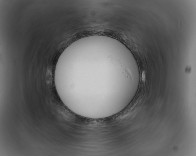 X0000101471203200807071211