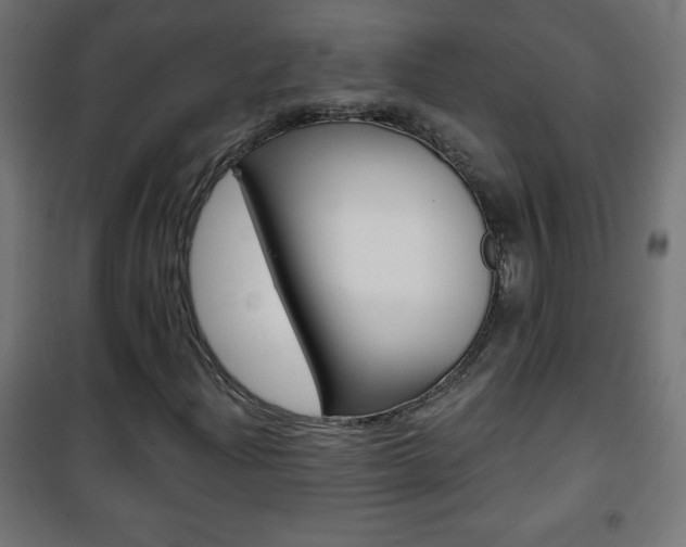 X0000101471204200807071211