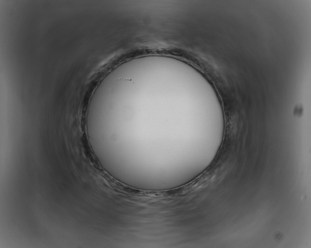 X0000101471205200807071211