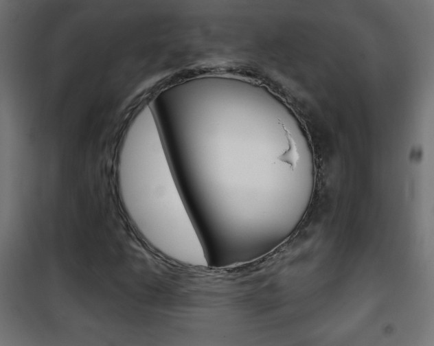 X0000101471206200807071211