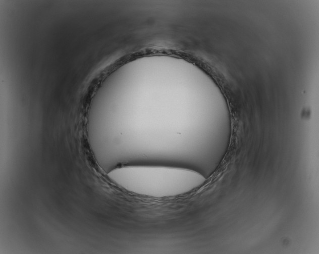 X0000101471207200807071211