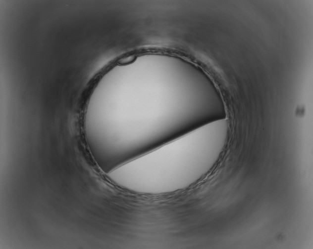 X0000101471208200807071211