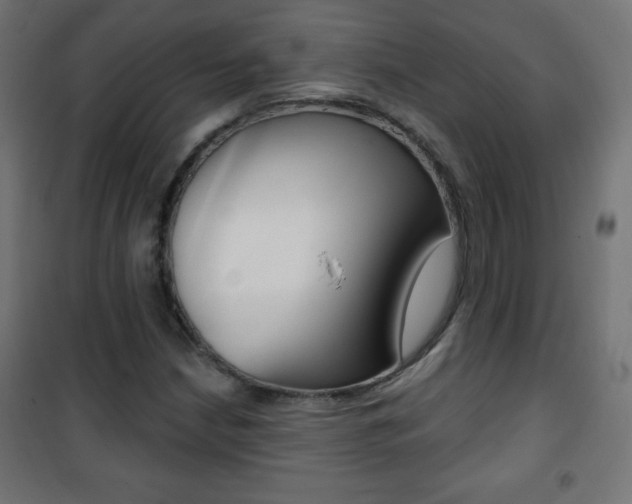 X0000101471210200807071211
