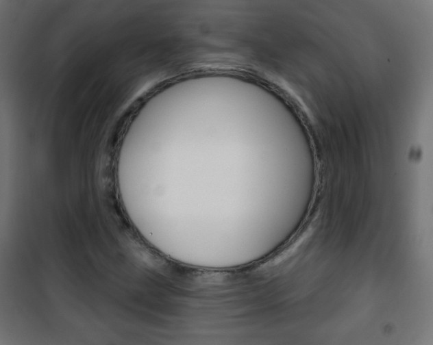 X0000101471211200807071211