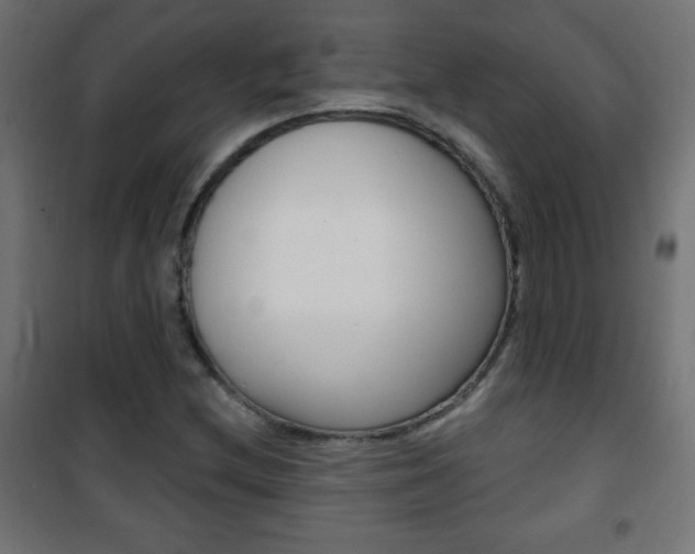 X0000101471212200807071211