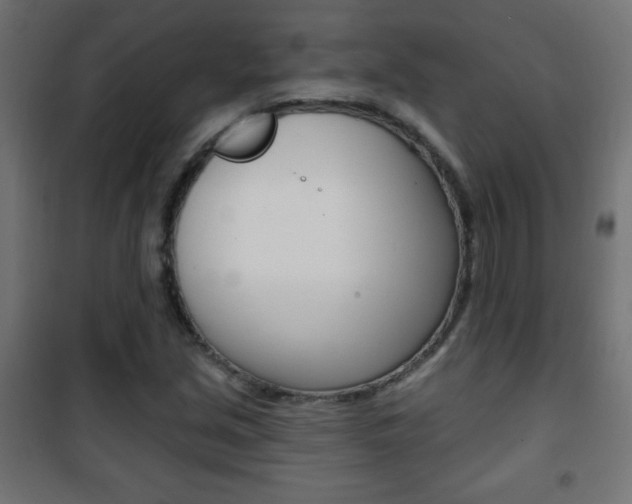 X0000101471213200807071211