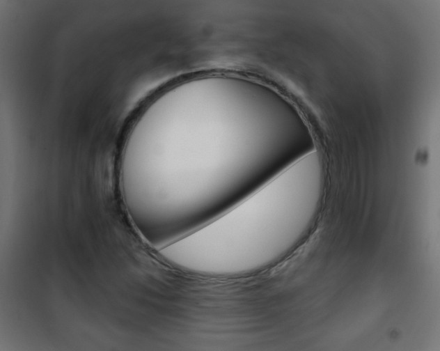 X0000101471214200807071211