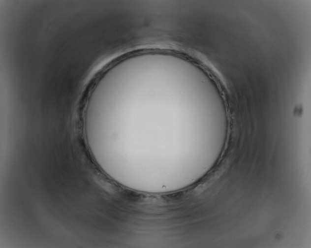 X0000101471215200807071211