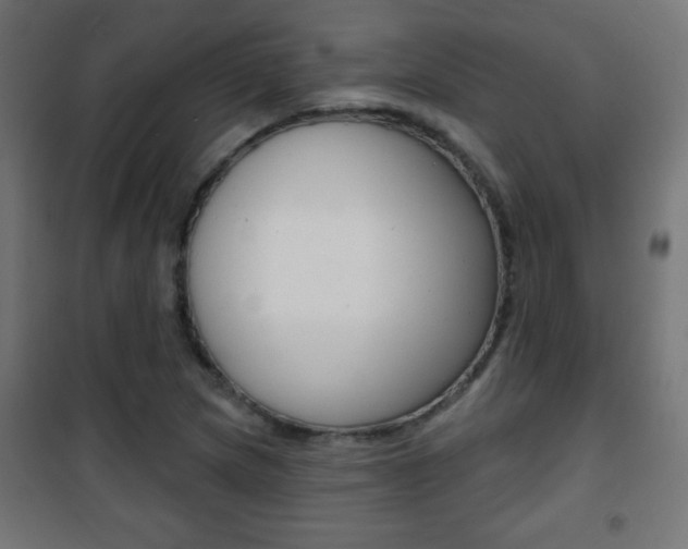 X0000101471217200807071211