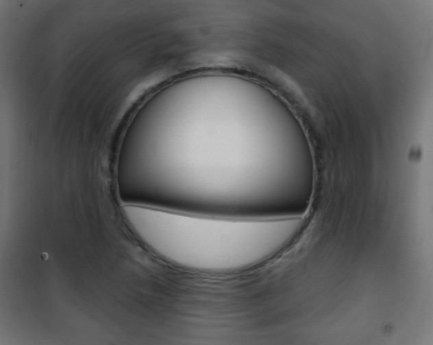 X0000101471218200807071211