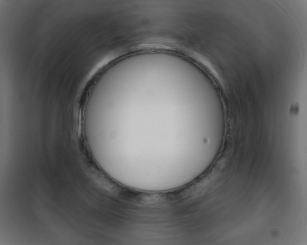 X0000101471219200807071211