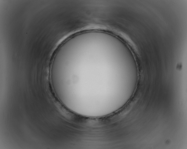 X0000101471220200807071211