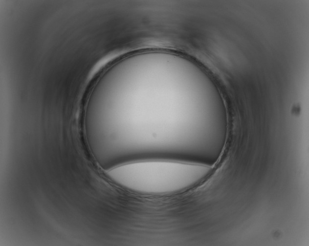 X0000101471222200807071211