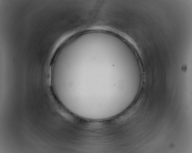 X0000101471223200807071211