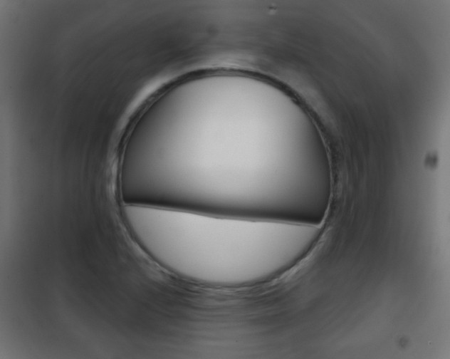 X0000101471224200807071211