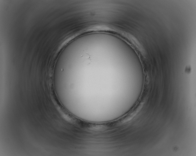 X0000101471225200807071211