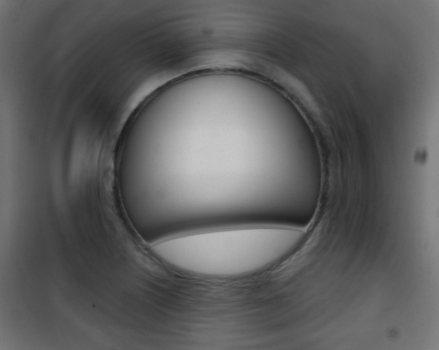 X0000101471226200807071211