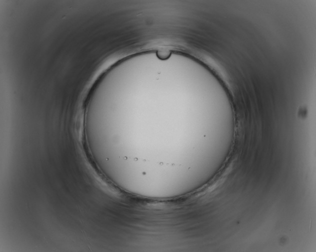 X0000101471227200807071211