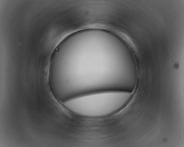 X0000101471228200807071211