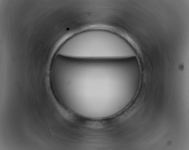 X0000101471229200807071211