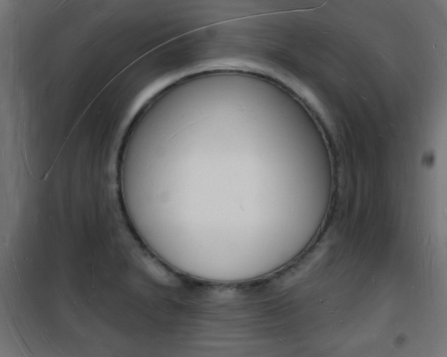 X0000101471230200807071211