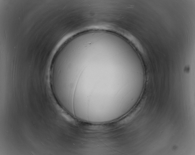 X0000101471232200807071211