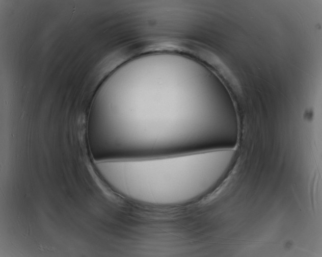 X0000101471233200807071211