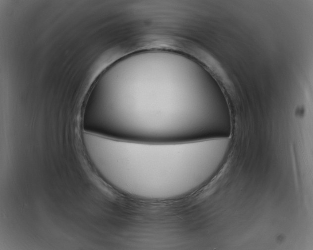 X0000101471234200807071211