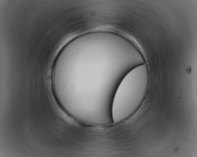 X0000101471235200807071211