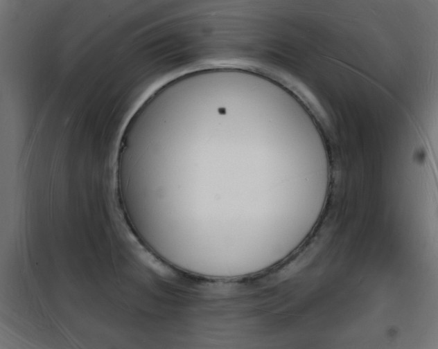 X0000101471236200807071211