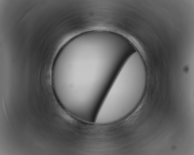 X0000101471238200807071211