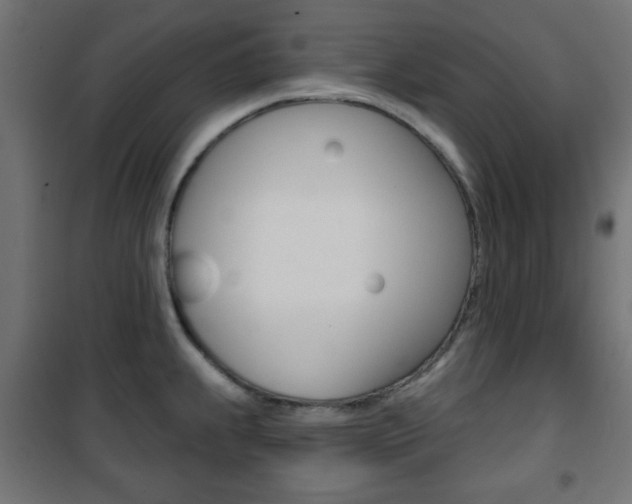 X0000101471239200807071211