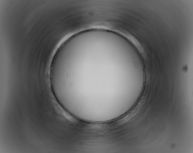 X0000101471240200807071211