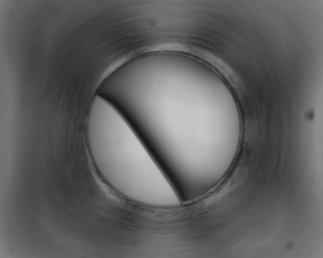 X0000101471241200807071211